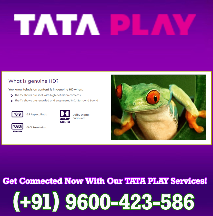 best Tata sky, Tata Play DTH installation in karur